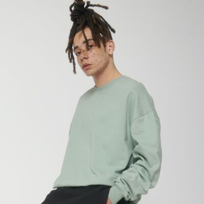 Unisex Ledger dry sweatshirt (STSU798) Thumbnail