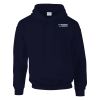 DryBlend® adult hooded sweatshirt Thumbnail